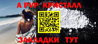твердый Сланцы